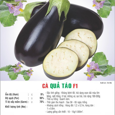 Hạt giống cà quả táo F1 - cà tím quả táo VTP101