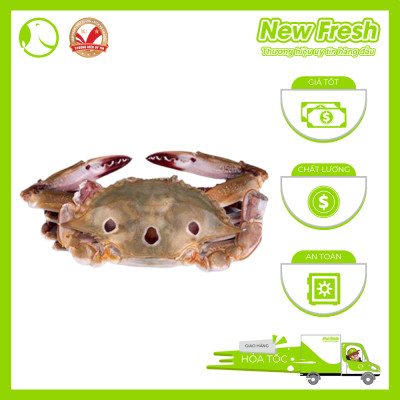 Ghẹ Xanh Nguyên Con Cấp Đông - Túi 1Kg