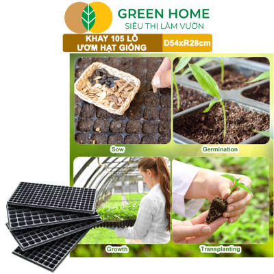Khay Ươm Hạt Giống Greenhome, 105 Lỗ, Thoáng Rễ, Nảy Mầm Cao, Tiết Kiệm Diện Tích Ươm, Độ Bền Cao
