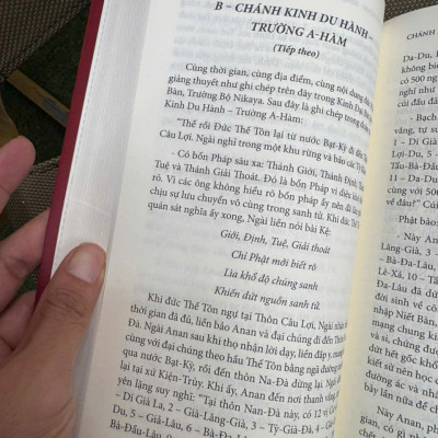 PHÁP & NGHĨA TRONG ĐẠI TẠNG KINH – Vân Sơn Thượng và Nguyễn Văn Quỳ – Mochibooks – NXB Thế Giới