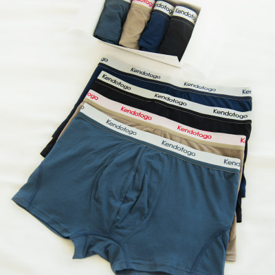 Kendo - Quần lót nam Kendo Boxer Silver Men