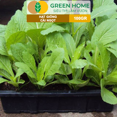 Hạt Giống Rau Cải Ngọt GreenHome, GÓI 100GR, Dễ Trồng, Nảy Mầm Cao, Thu Hoạch, Năng Suất R31