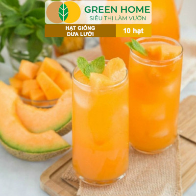 Hạt Giống Dưa Lưới Ruột Vàng Greenhome, Gói 10 Hạt, Dễ Trồng Quanh Năm, Nảy Mầm Cao, Thu Hoạch Nhanh, Năng Suất Cao T14