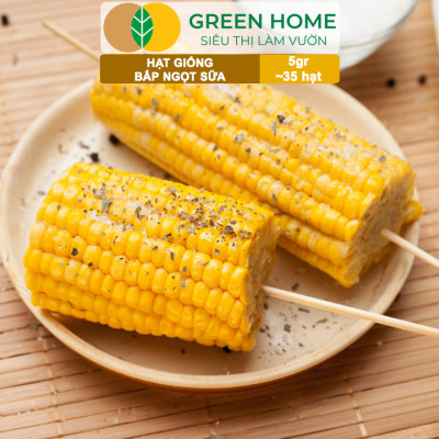 Hạt Giống Bắp Sữa Ngọt, Greenhome, Gói 5GR~35 hạt, Dễ Trồng Quanh Năm, Nảy Mầm Cao, T32