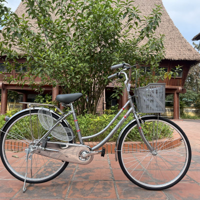 Xe đạp Wahama mini 26 inch - Phù hợp với người cao từ 1m47 trở lên