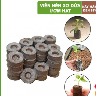 Viên nén xơ dừa Batrivina trồng cây, ươm hạt, ươm cây giống, trồng dâu tây