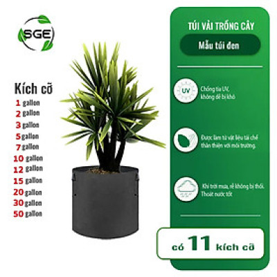 Chậu Vải Trồng Cây GB Cây Sinh Trưởng Nhanh Hơn Cây Trồng Trong Túi Hoặc Chậu Nhựa Phổ Biến Trong Kinh Doanh Nông Nghiệp SGE