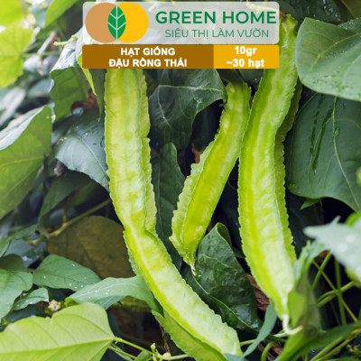 Hạt Giống Đậu Rồng Thái, Greenhome, Gói 10GR~30 hạt, Dễ Trồng Quanh Năm, Nảy Mầm Cao, T35