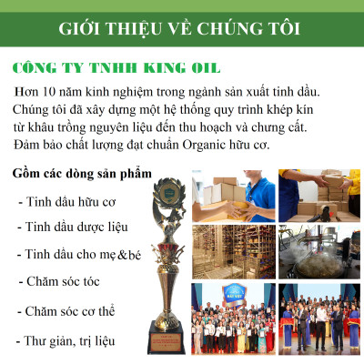 Tinh dầu Tràm Huế (Tràm Gió) 50ml xuất khẩu thị trường Mỹ, nguyên chất từ  thiên nhiên, An Toàn Cho Bé, Xông Phòng, Khử Mùi, Kháng Khuẩn, Đuổi Muỗi, Giải Cảm - KingOil