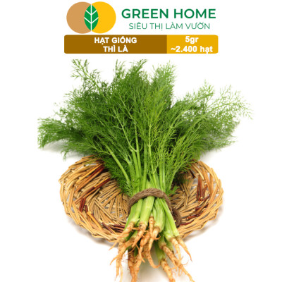 Hạt Giống Rau Thì Là Greenhome, Gói 5gr~2400 hạt, Dễ Trồng, Nảy Mầm Cao, Thu Hoạch Nhanh, Năng Suất Cao G11