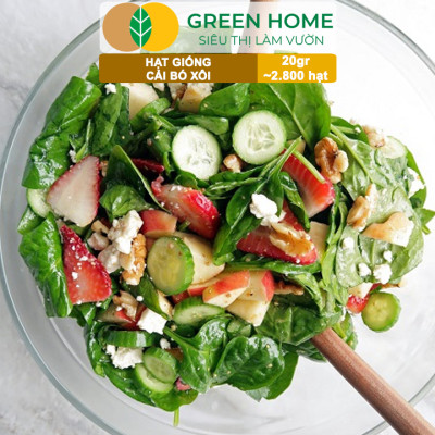 Hạt Giống Rau Cải Bó Xôi GreenHome, Gói 20g~2800 hạt, Dễ Trồng Nảy Mầm Cao, Năng Suất Cao R07