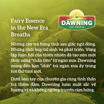 Combo 5 Hộp Trà sữa trân châu DAWNING Tròn vị ngon, thơm trà, tan đá vẫn ngon đậm đà 260g/hộp