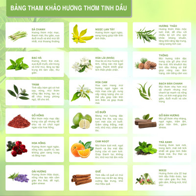 Tinh Dầu Hoa Cam Biyokea (10ml)