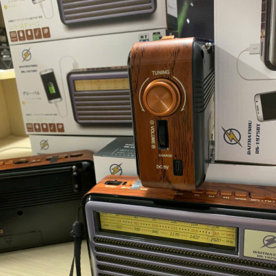 Đài Radio FM DS-1975BT Nhật-Kiểu Dáng Cổ Điển - Loa Bluetooth 5.4 Hỗ Trợ USB, Thẻ nhớ, Cáp sạc typeC - Hàng chính hãng