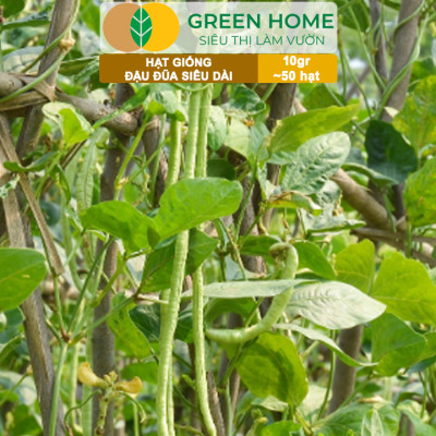 Hạt Giống Đậu Đũa Siêu Dài, Greenhome, Gói 10GR~50 hạt, Dễ Trồng Quanh Năm, Nảy Mầm Cao, T39