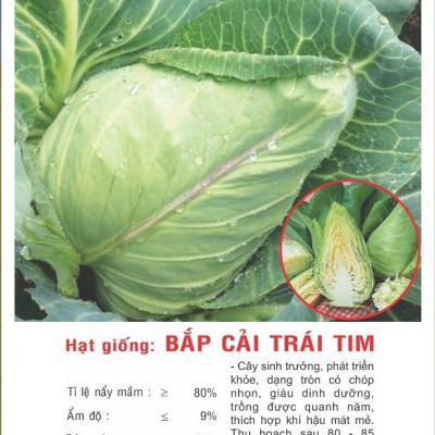 Hạt giống Bắp cải trái tim chịu nhiệt VTP147