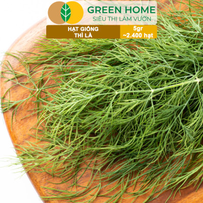 Hạt Giống Rau Thì Là Greenhome, Gói 5gr~2400 hạt, Dễ Trồng, Nảy Mầm Cao, Thu Hoạch Nhanh, Năng Suất Cao G11