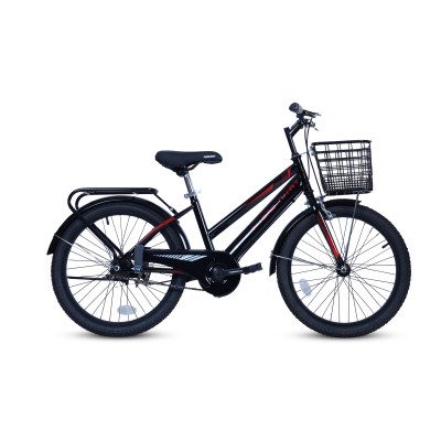 Xe đạp Thống Nhất GN 06-20 (Dành cho trẻ từ 5 - 10 tuổi)