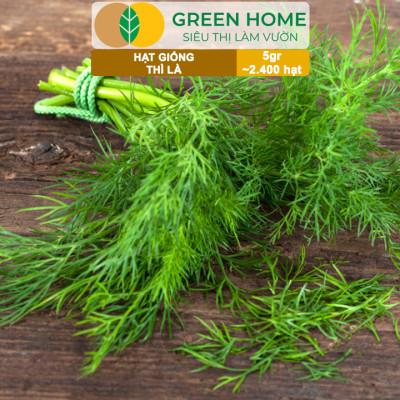 Hạt Giống Rau Thì Là Greenhome, Gói 5gr~2400 hạt, Dễ Trồng, Nảy Mầm Cao, Thu Hoạch Nhanh, Năng Suất Cao G11