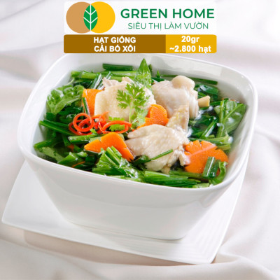 Hạt Giống Rau Cải Bó Xôi GreenHome, Gói 20g~2800 hạt, Dễ Trồng Nảy Mầm Cao, Năng Suất Cao R07