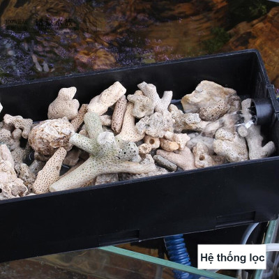 Vật Liệu Lọc Hồ Cá 1KG | Bông Lọc 8D Cao Cấp 50x11x2cm Hiệu Quả