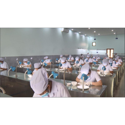 Tổ yến Trắng tinh chế Đảo Yến Phú Quốc - Yến sào nguyên chất tinh chế (10-11 tổ/100gr) - 100% khai thác tại đảo Phú Quốc