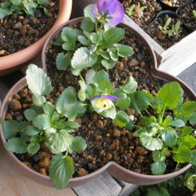 Chậu trồng cây tiện lợi tiết kiệm diện tích chính hiệu Yamada 4L hàng Made in Japan #No583