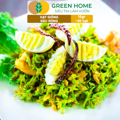 Hạt Giống Đậu Rồng Greenhome, Gói 10gr~30 hạt, Dễ Trồng Quanh Năm, Nảy Mầm Cao, Thu Hoạch Nhanh, Năng Suất Cao T08