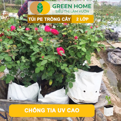 Túi Trồng Cây GreenHome, PE 2 Lớp, Chống UV, Tiện Lợi, Kinh Tế, Độ Bền 1,5 Năm, Trồng Rau, Hoa, Dâu Tây