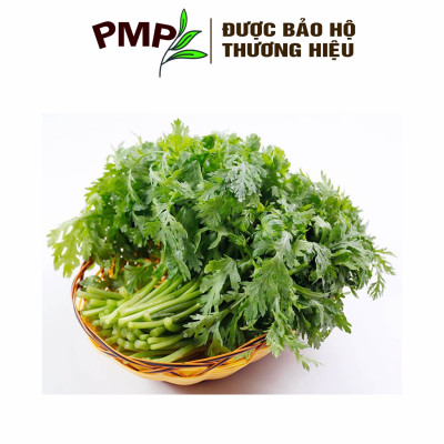 Hạt Giống Cải Cúc (Tần Ô) PMP 5g
