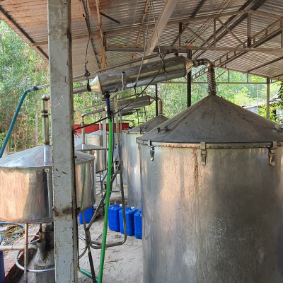 Tinh dầu Bưởi Chùm (bưởi Hồng, bưởi Úc) 100ml Mộc Mây - tinh dầu thiên nhiên nguyên chất 100% - chất lượng và mùi hương vượt trội