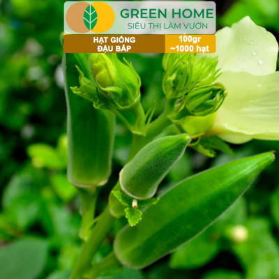 Hạt Giống Đậu Bắp GreenHome, GÓI 100GR, Dễ Trồng, Nảy Mầm Cao, Thu Hoạch Nhanh, Năng Suất T47
