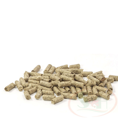 Thức ăn dặm GlasGarten Immun Sticks bổ sung betaglucan miễn dịch bể cá tép ốc cảnh