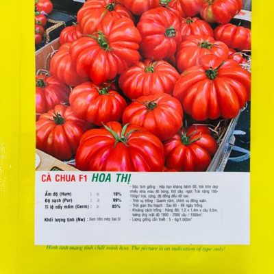 Hạt giống cà chua Hoa thị quả to đẹp - năng suất cao VTP55