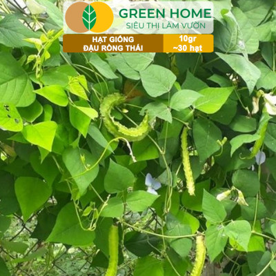 Hạt Giống Đậu Rồng Thái, Greenhome, Gói 10GR~30 hạt, Dễ Trồng Quanh Năm, Nảy Mầm Cao, T35