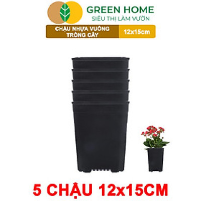 5 Chậu Vuông Trồng Cây Greenhome, Nhiều Kích Thước, Nhựa Cứng, Thoát Nước Tốt, Trồng Hoa, Kiểng Lá