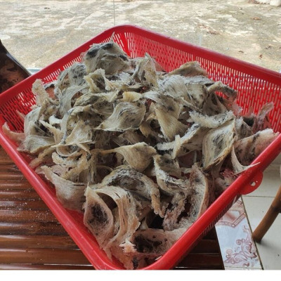 Yến sào thô Hồ Phụng Tiên 50g nguyên chất