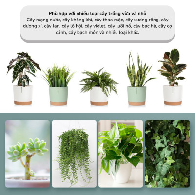 Chậu trồng cây tự tưới thông minh MONROVIA cho hoa, cây cảnh trong nhà và ngoài trời hình trụ tròn