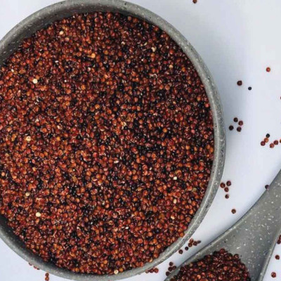 Hạt diêm mạch (quinoa) đỏ Sức Khỏe Xanh - Nhập khẩu Peru Nam Mỹ chính hãng