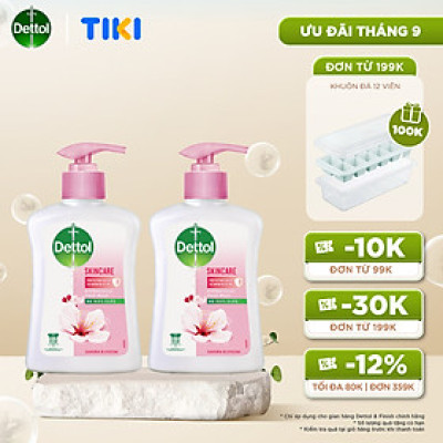 Combo 2 chai nước rửa tay Dettol kháng khuẩn dưỡng da - Chai 250g